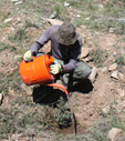 برنامه مشارکتی کاشت نهال و اصلاح تشتک‌ در شاخه‌ی کوهستانی باغ گیاه‌شناسی، سیراچال